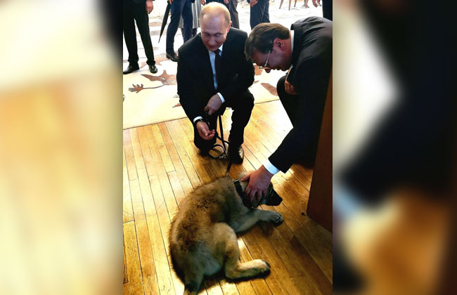 Putin-Sarplaninac2