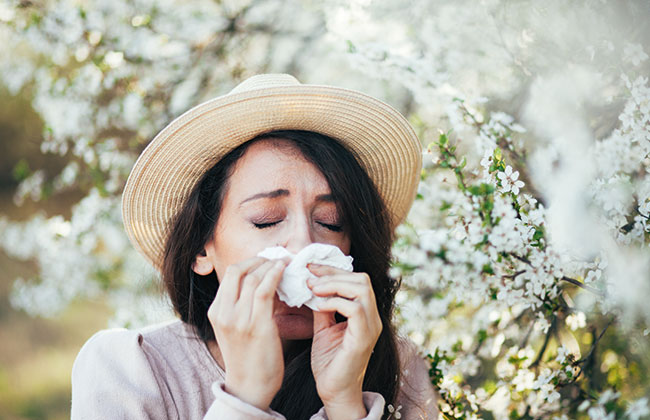 Allergie-Typen-Gesundheit
