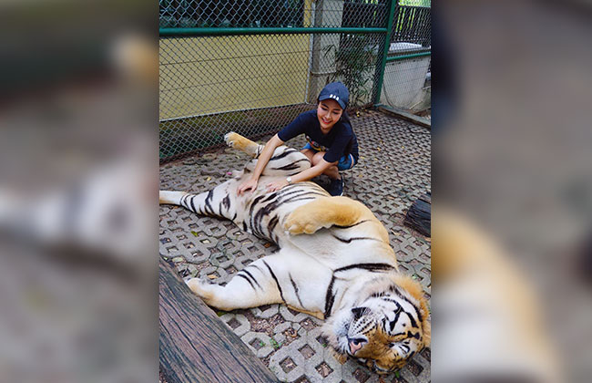 MODEL_EROTIK_TIGER_HODEN