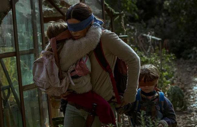 BIRDBOX