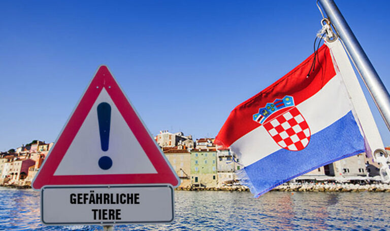 Diese gefährlichen Tiere lauern im Urlaubsparadies Kroatien