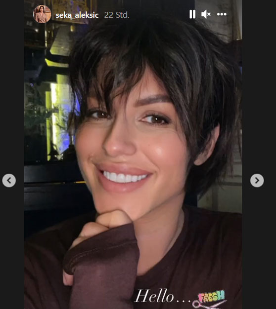 SEKA_ALEKSIC