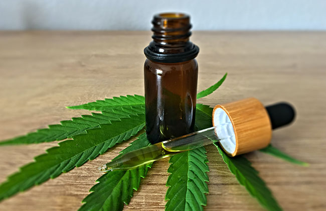 Was ist am riesen CBD Hype dran?