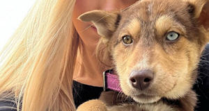 HUND_LARISSA_MAROLT