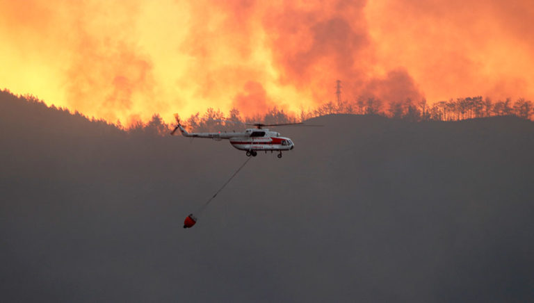 Schlimmer Waldbrand bei kroatischer Küstenstadt  (VIDEO)