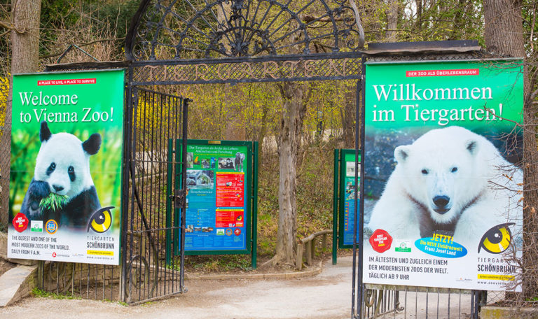 „ZooPark Wien“: Tiergarten Schönbrunn warnt vor Fake-Account