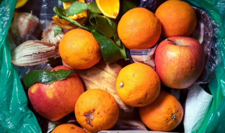 Experten: Lebensmittel sind nach Ablaufdatum noch lange essbar
