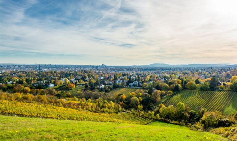 Rothneusiedl: Wiener Vorzeigeviertel bedroht ländlichen Charme