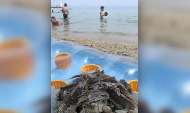 Serbische Touristen überraschen mit gebratenem Lamm am Strand!