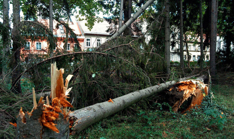 Unwetter in Wien: Wird die Lage noch schlimmer?