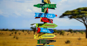 (FOTO: iStock/czekma13)