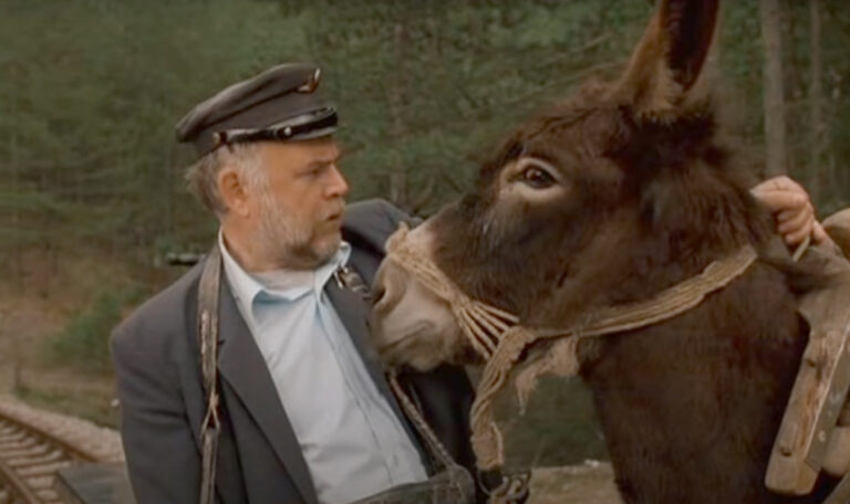 Balkan Filmschatz: Das Leben ist ein Wunder (VIDEO)
