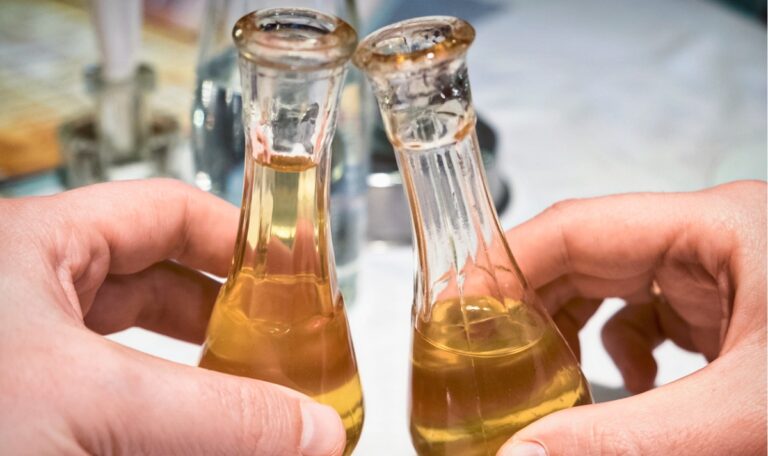 Rakija: Kein Appetitanreger, sondern Gegenteileffekt im Balkanbrauch