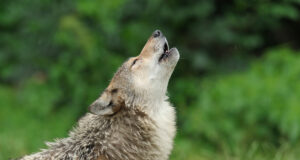 (FOTO: iStock/Anagramm)