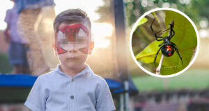 (FOTO: iStock/FluxFactory/JasonOndreicka)