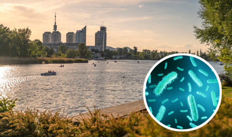 Neuentdeckung: Forscher entdecken antibiotikaresistente Bakterien in Donau