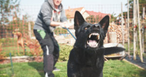 HUND_BESITZER