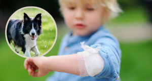 (FOTO: iStock/SbytovaMN/IonelV)