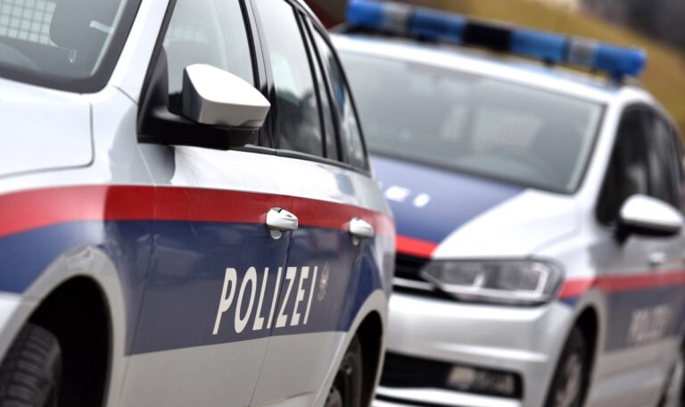 Ohne Führerschein: Polizei schießt auf Auto