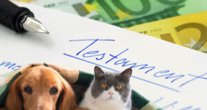HUND_KATZE_TESTAMENT