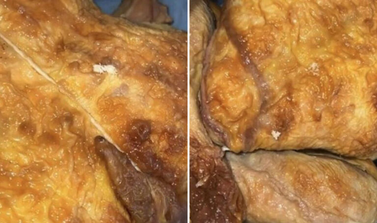 Kundin kauft Backhendl und kann ihren Augen nicht trauen (VIDEO)