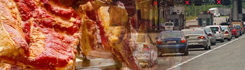 TROCKENFLEISCH_GRENZE
