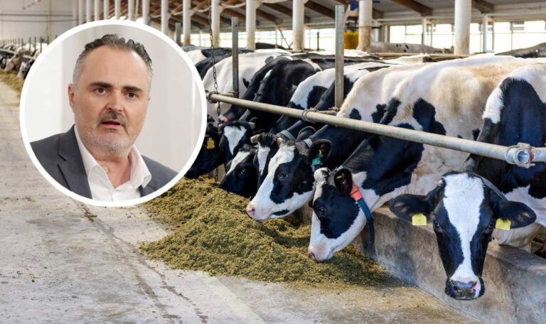 Doskozil: Erste Landesmolkerei mit Bio-Anreize soll entstehen