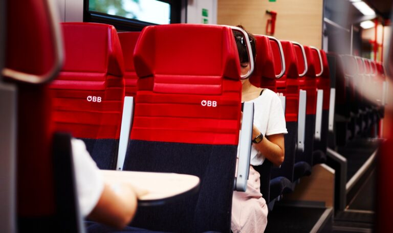 Läuse-Alarm in Schnellbahn: Täglich müssen Züge gereinigt werden