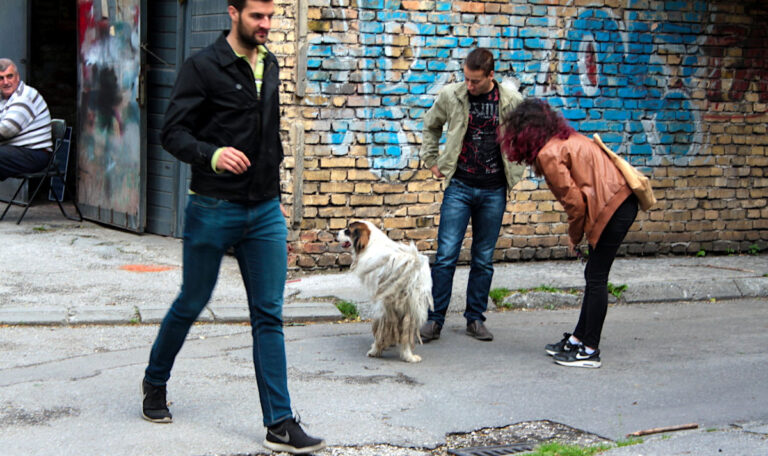 Balkan Stories: Eine Mahala trauert um ihren Liebling