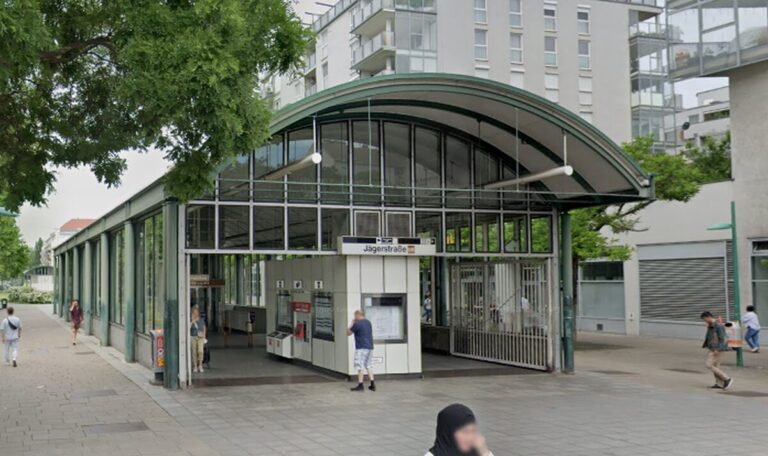 Macheten-Mord in Wien: Urteil erwartet!