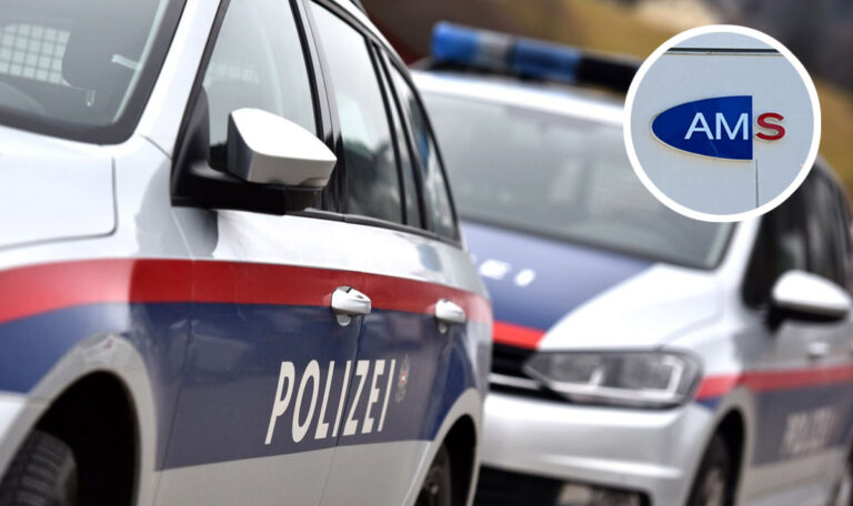 Mann bedrohte AMS-Kursleiterin und attackierte Polizisten