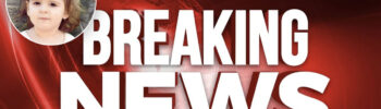 Danka-Ilic-Breaking-news
