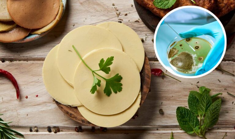 Europaweite Fälle: Veganer Käse löst Listeriose-Ausbruch aus