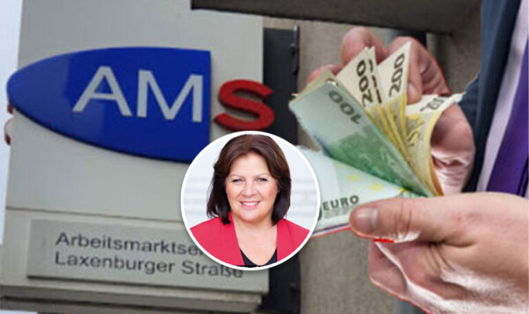 AK: Renate Anderl fordert Erhöhung von AMS-Geld