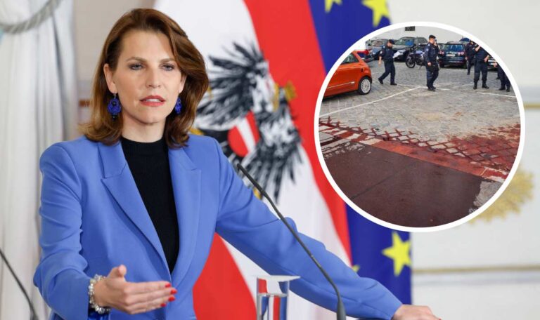 Verfassungsministerin Edtstadler entgeht knapp „Blutattacke“ (FOTOS)