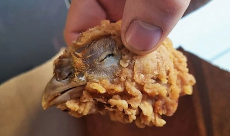 Kundin findet frittierten Hühnerkopf in KFC-Menü
