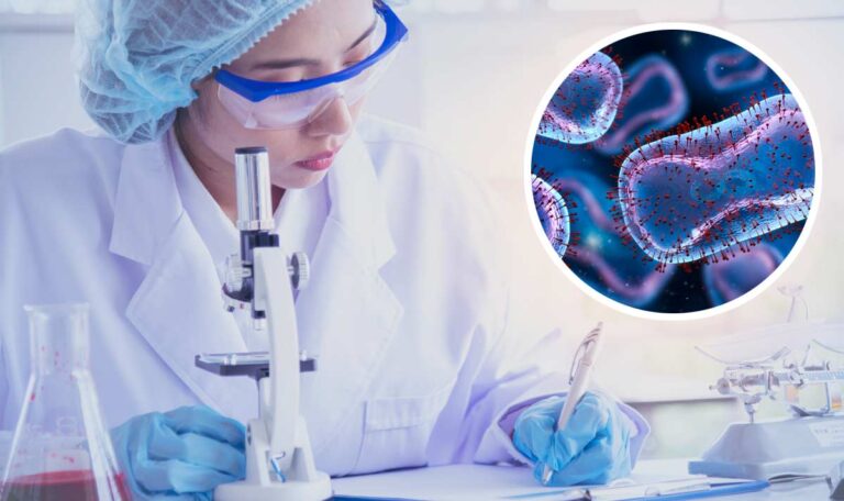 Chinesische Forscher schaffen (erneut) tödliches Virus durch Gentechnik