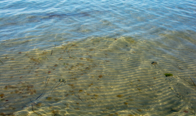 Kroatische Küste in Gefahr: „Meeresrotz“ breitet sich weiter aus! (FOTOS)