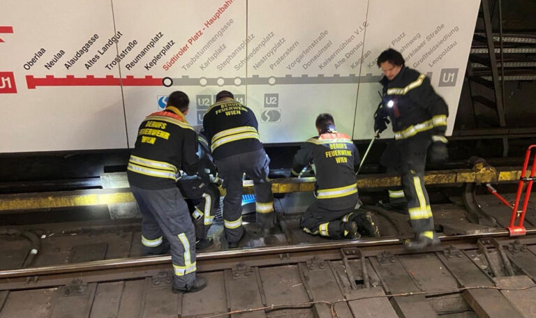 Wiener Linien mussten U-Bahn stoppen: Katze steckte neben Gleisen fest