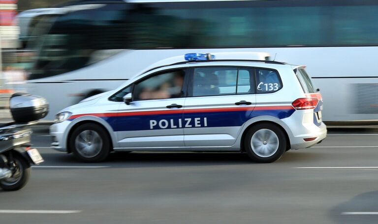 Wiener Polizist baut im Einsatz Crash und muss Geldstrafe zahlen