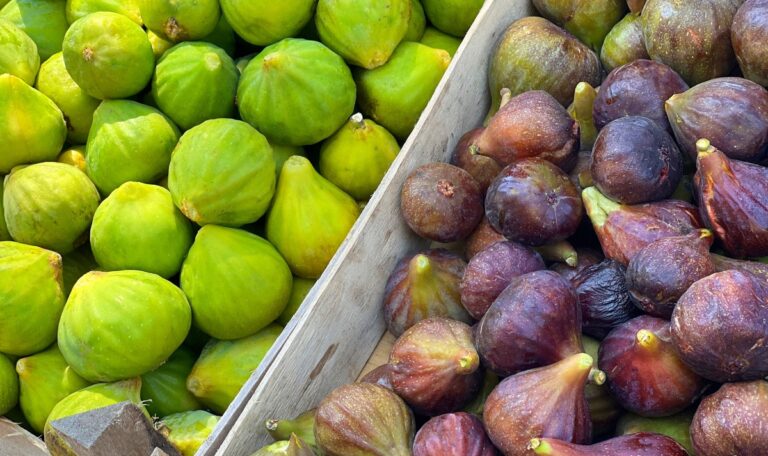 Touristenabzocke in Kroatien: 20 Euro für ein Kilo Feigen