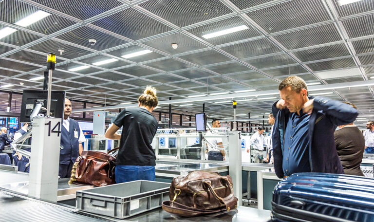 Flughafen Wien-Schwechat: Elfenbein in Unterwäsche geschmuggelt!