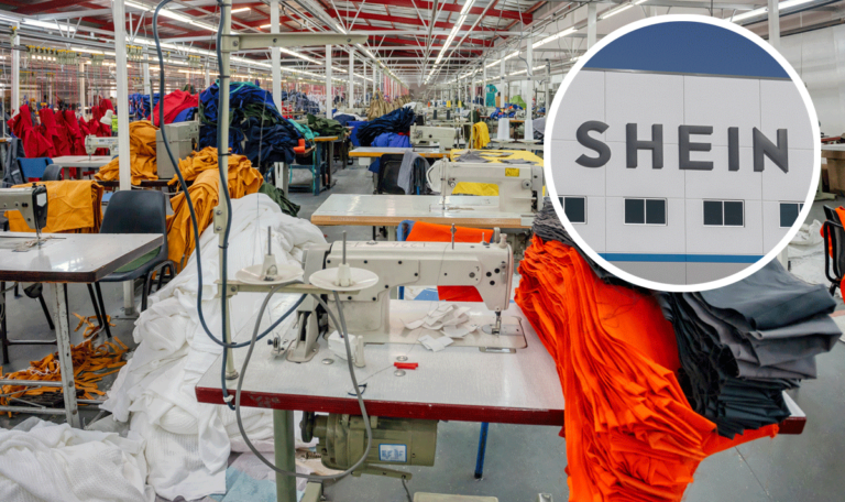 ÖKO-Test findet Blei und hohe Chemikalienbelastung bei SHEIN-Produkten