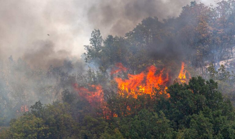 Großbrand in Kroatien: 237 Feuerwehrleute im Einsatz