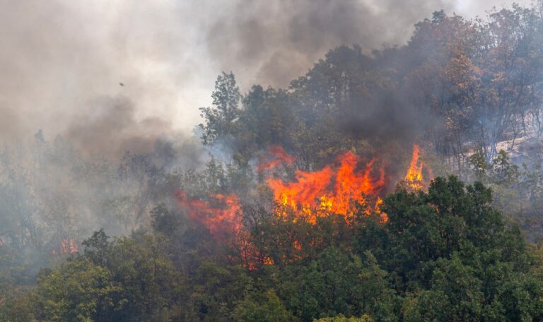 Hotels in Kroatien wegen Waldbrand evakuiert (VIDEOS)