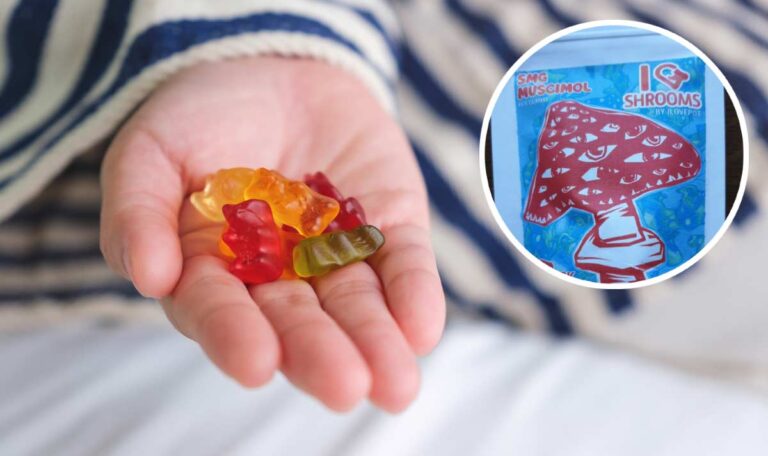Fliegenpilzgift: Warnung vor Gummibärchen mit psychoaktiven Substanzen