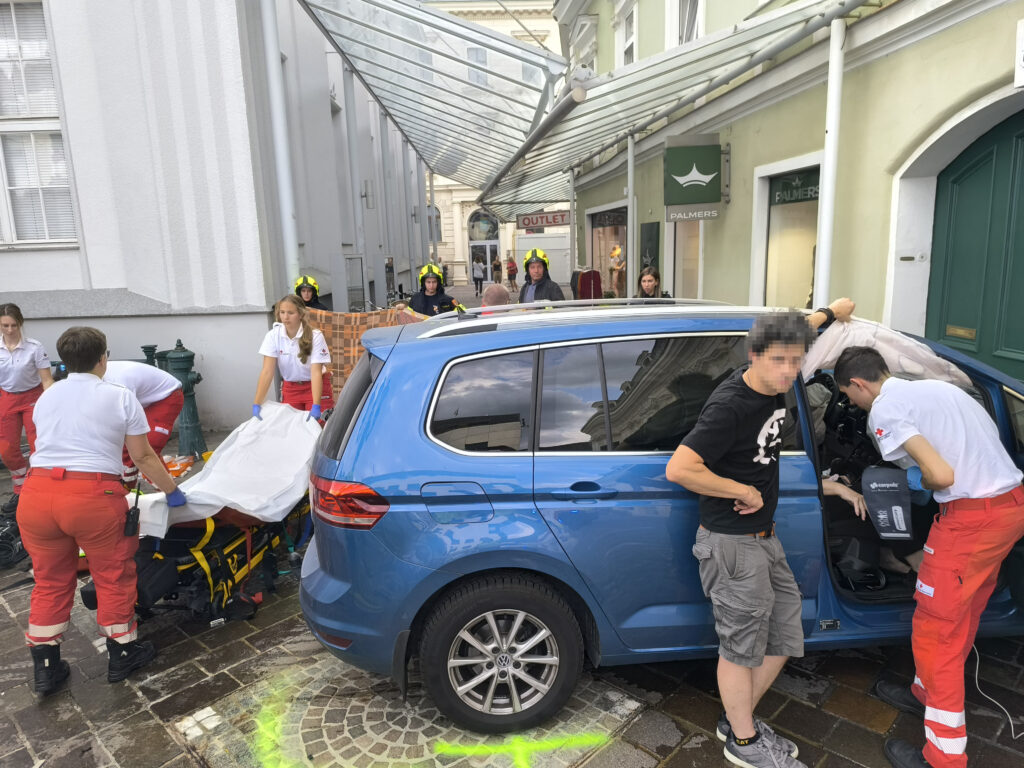 (FOTO: Feuerwehr Tulln)