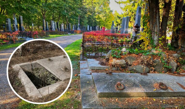 Ruhe gestört: Wiener Friedhöfe im Visier von Grabschändungen