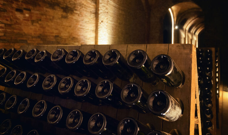 Französische Weinexperten erobern Serbien!