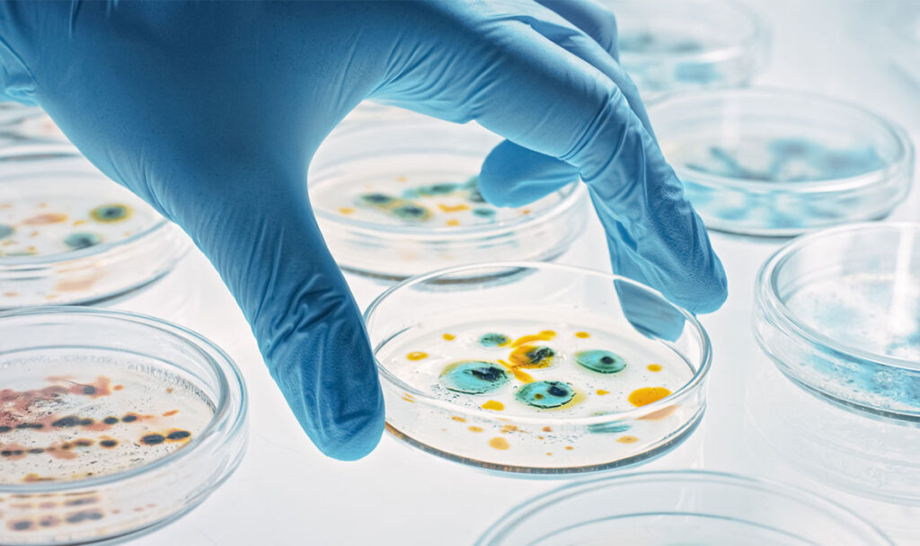 iStock-gorodenkoff-1212392775_anti-biotika-biotikum-resistenz-tote-todes-faelle-millionen-menschen-resistent-viren-bakterien-keime labor
